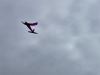 Jim Paton's model soars overhead
