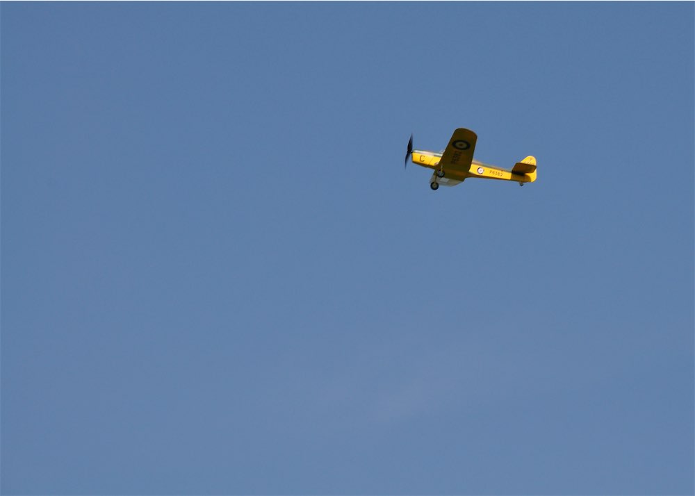 DSC_8636