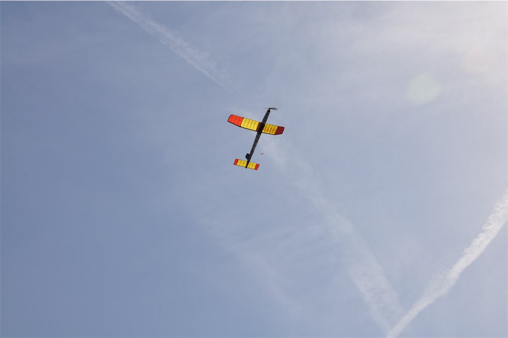 DSC_8704