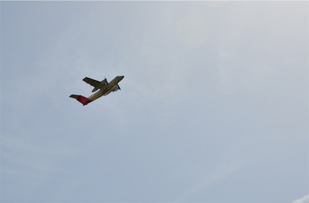DSC_8733