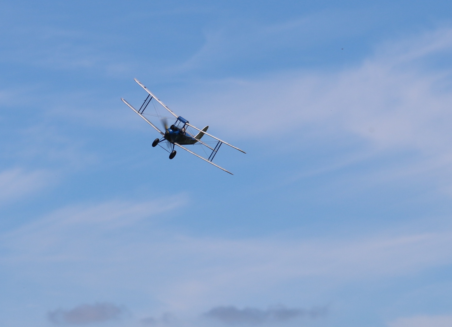 Free Flight DH60 cruises over the meadow