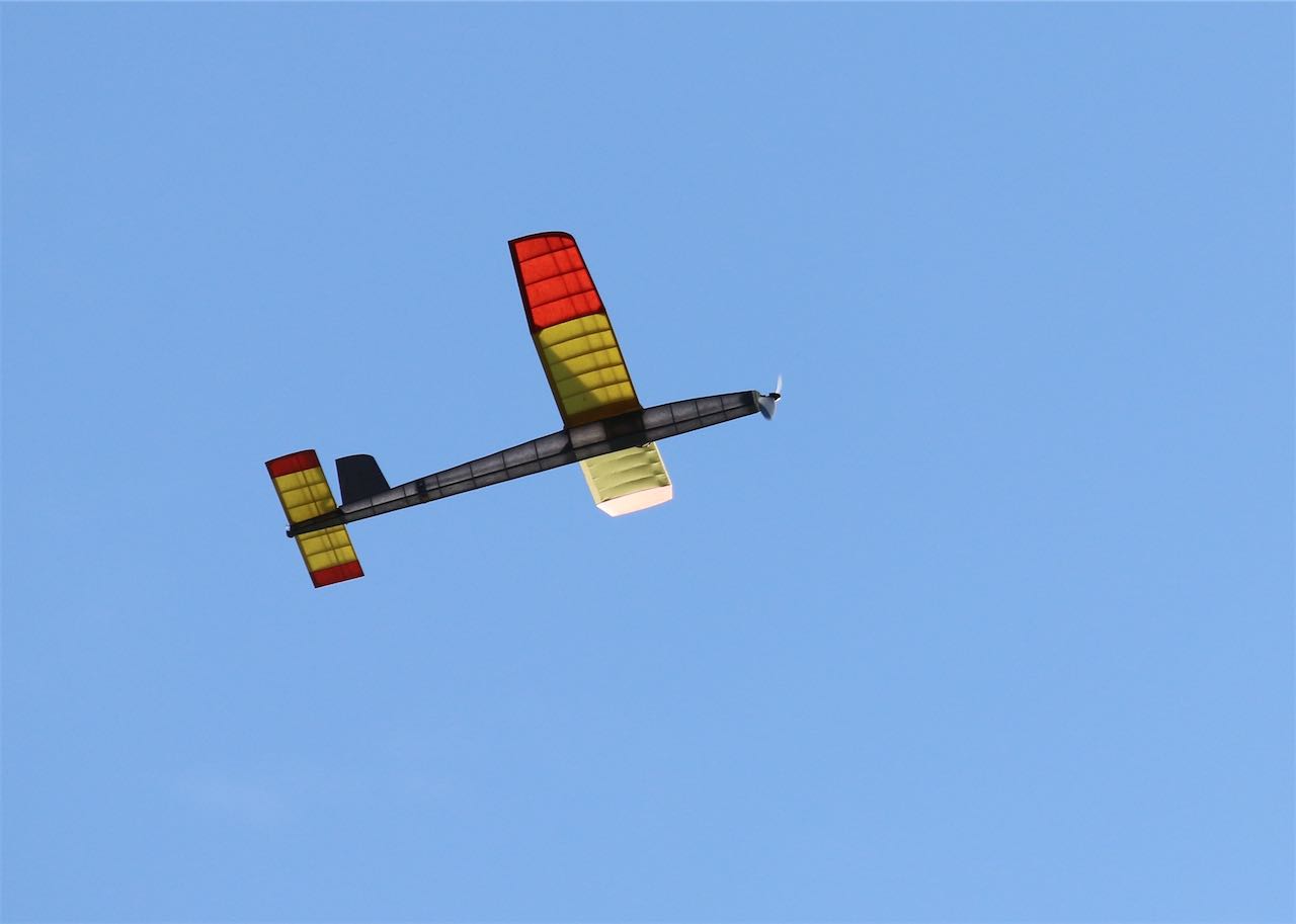 Peter Brown's Majestik