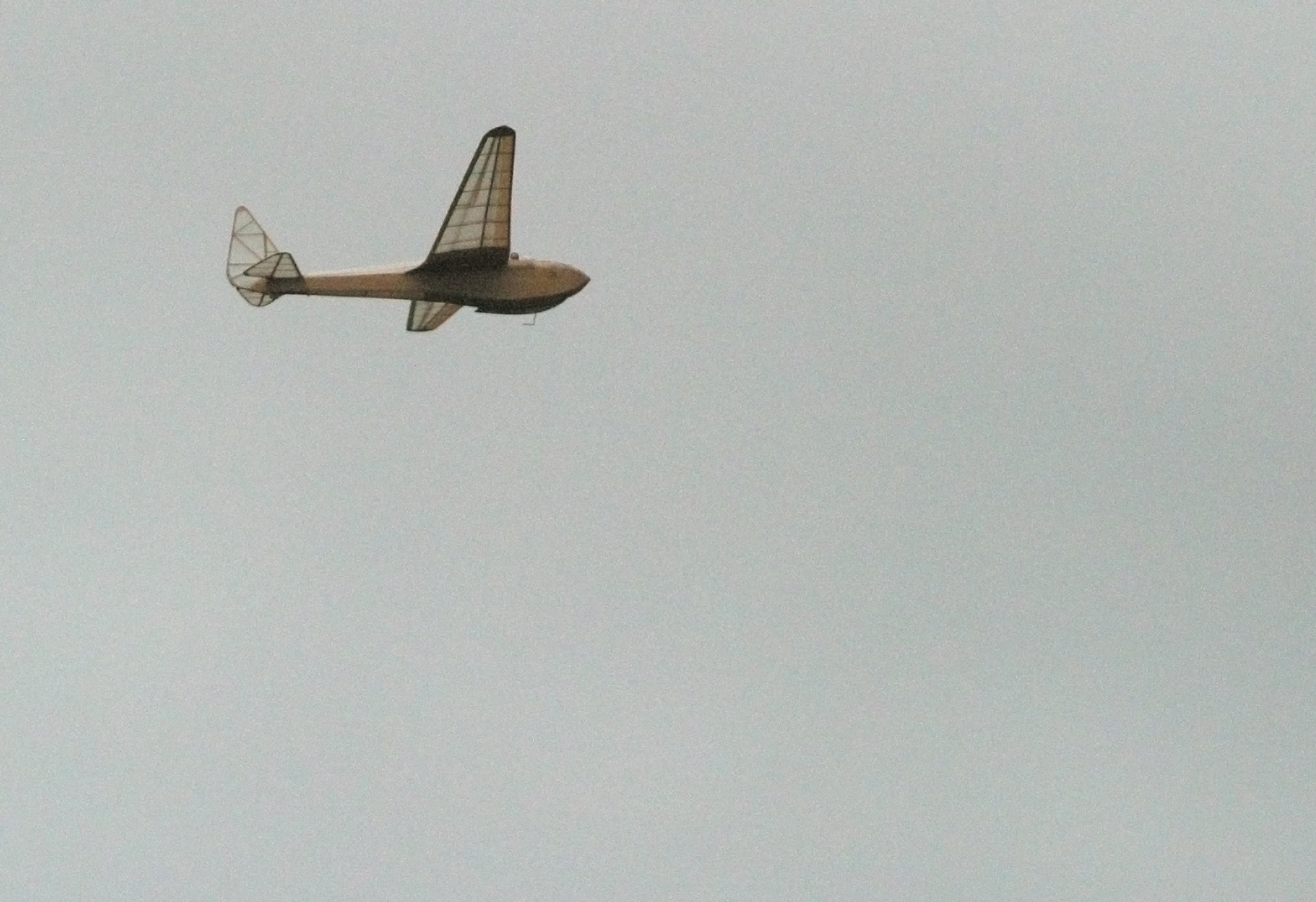 36" Airspeed Tern built from the Aeromodeller plan