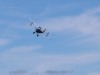 Free Flight DH60 cruises over the meadow
