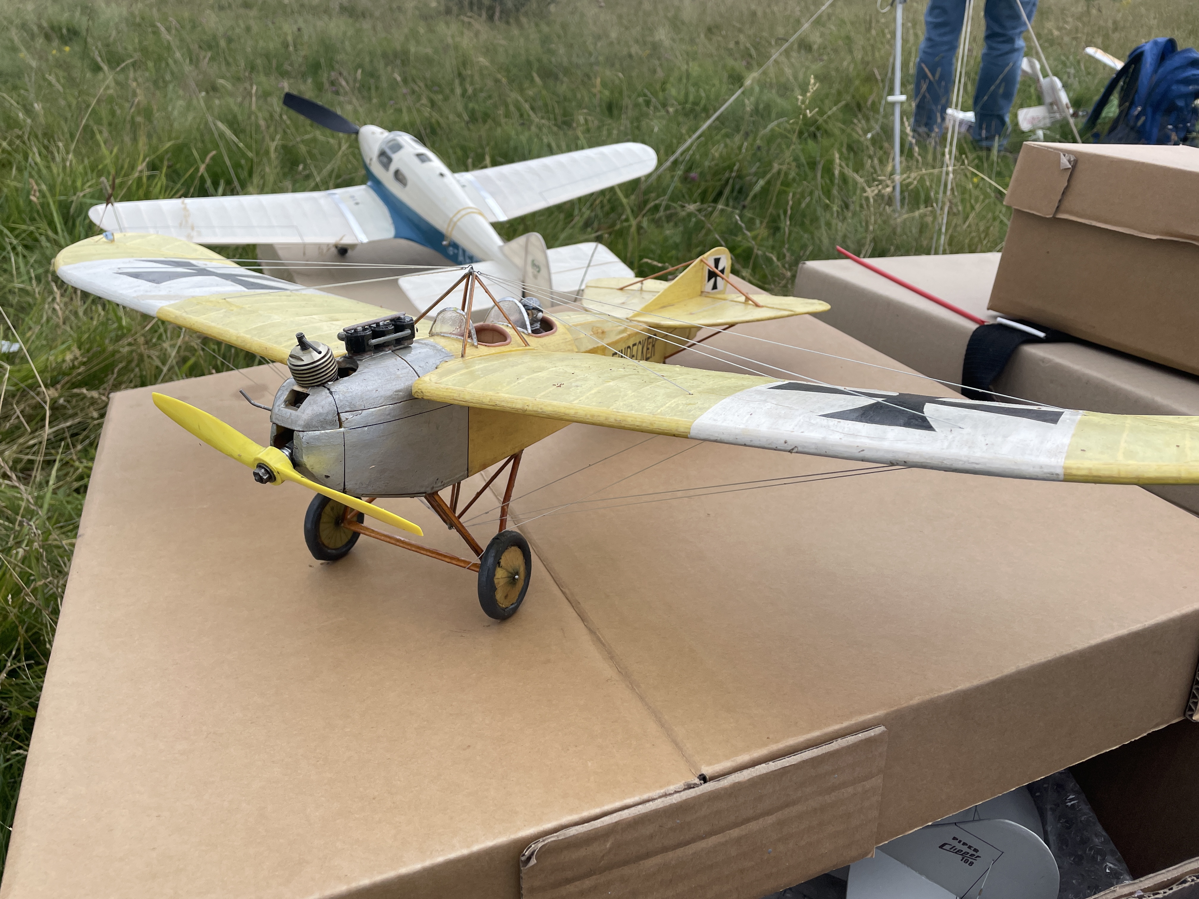 Charlie Jeffreys' Rumpler Taube from the APS Plan