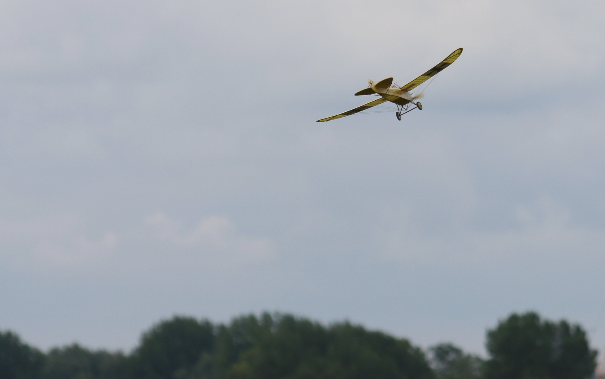 Charlie Jeffreys taube over the meadow