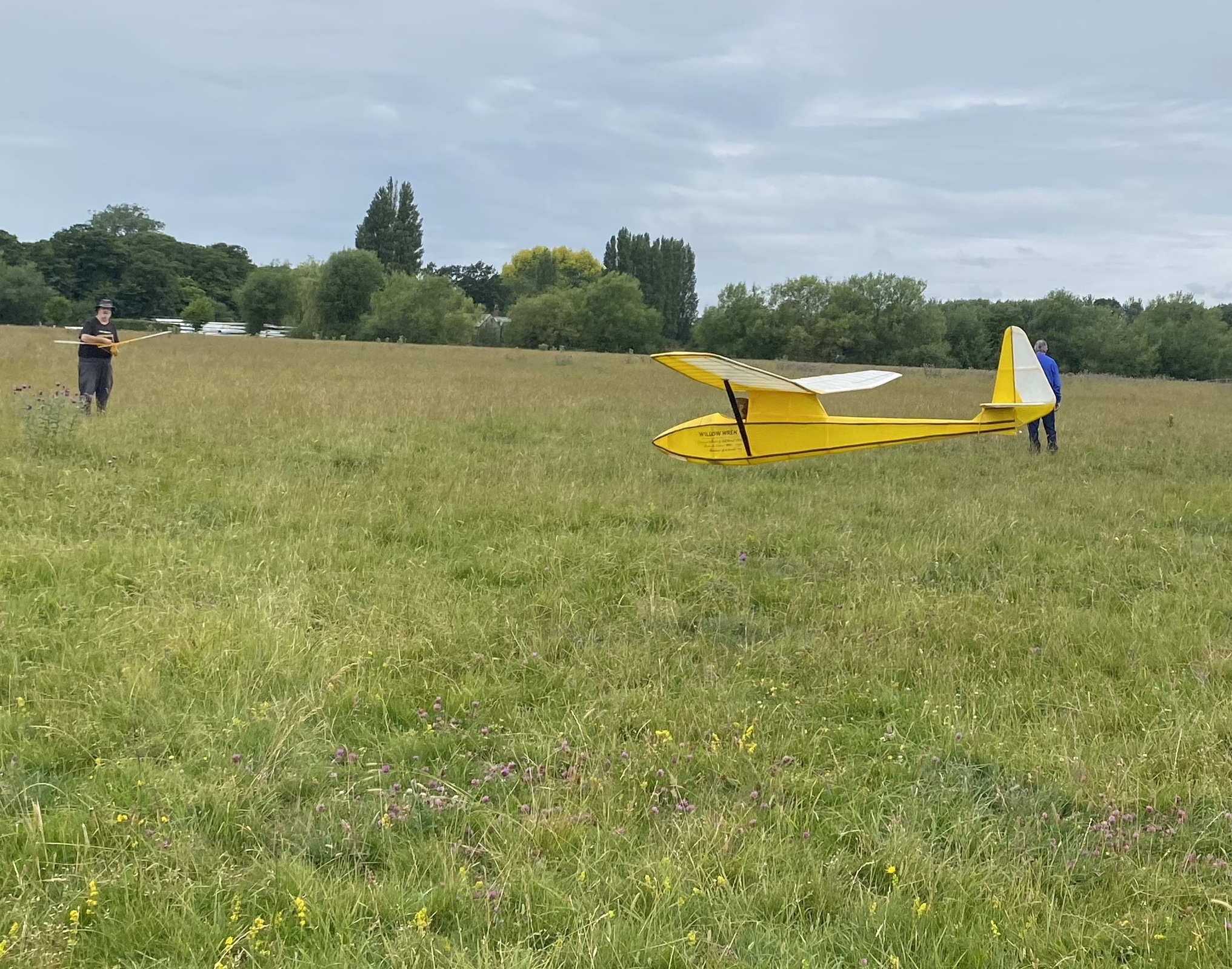 Peter smart's willow Wren takes to the air