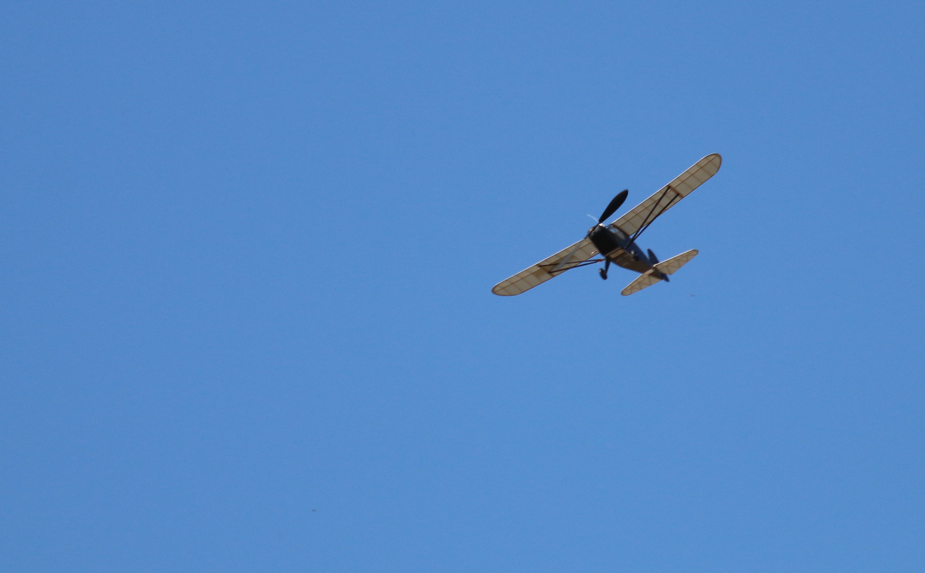 Ivan Taylors Auster high above the meadow