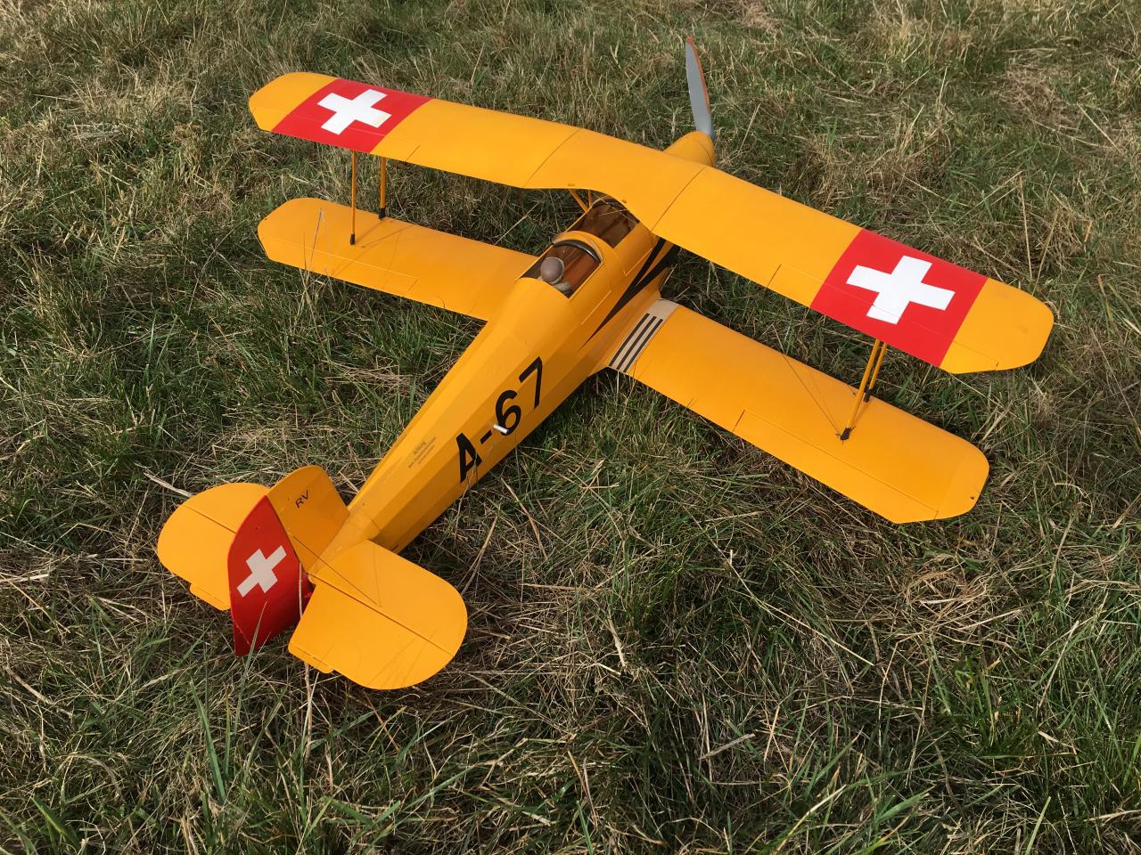 Bill Dennis' Bucker Jungman