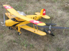 Bill Dennis's  Bucker Jungman and Lysander